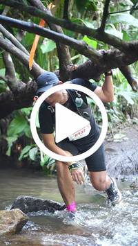 BIB:  <button type="button" onclick="openModal(27824596)" class="btn btn-primary btn-sm float-right" data-toggle="modal" data-target=".modal-high-quality">
                <i class="fa fa-download"></i> Download
                </button>